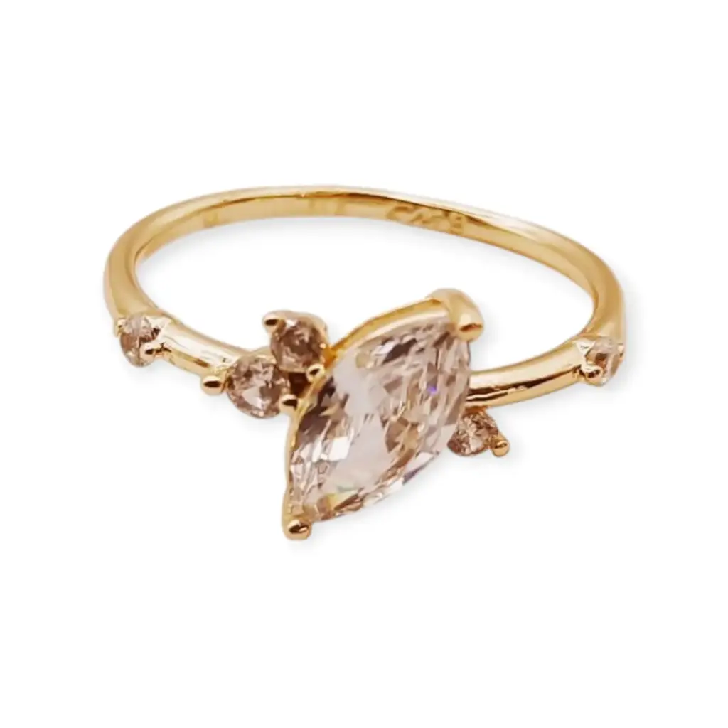 VANIOL055205 ANILLO OL