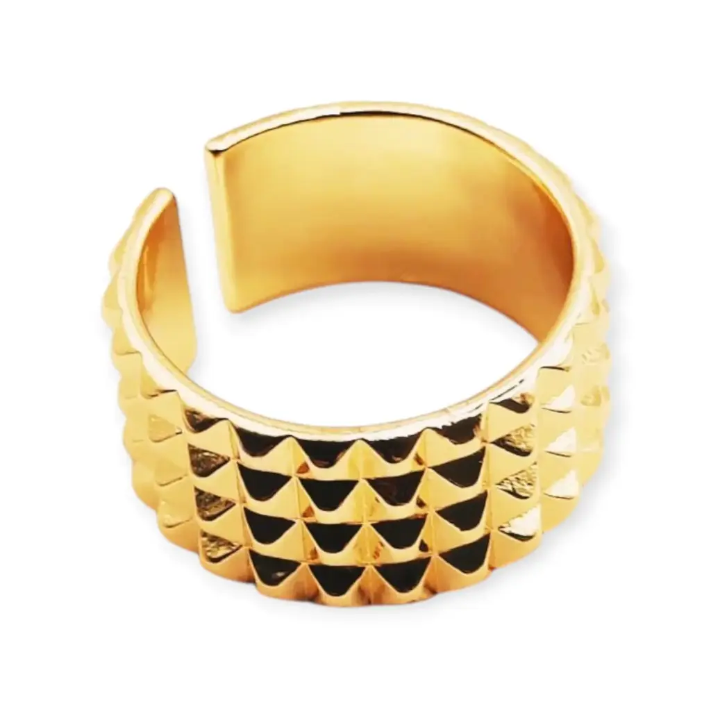 [VANIOL065046] VANIOL065046 ANILLO OL