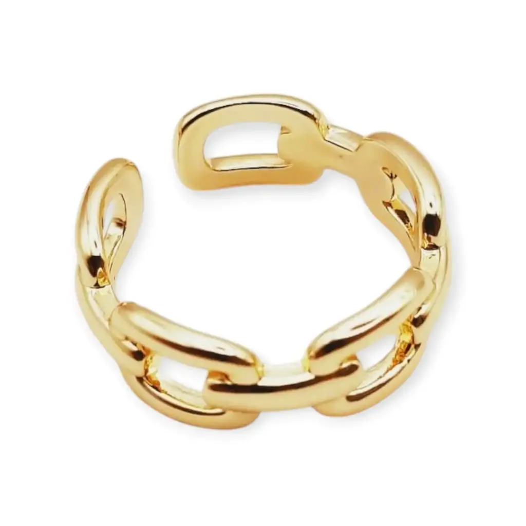 VANIOL065055 ANILLO OL