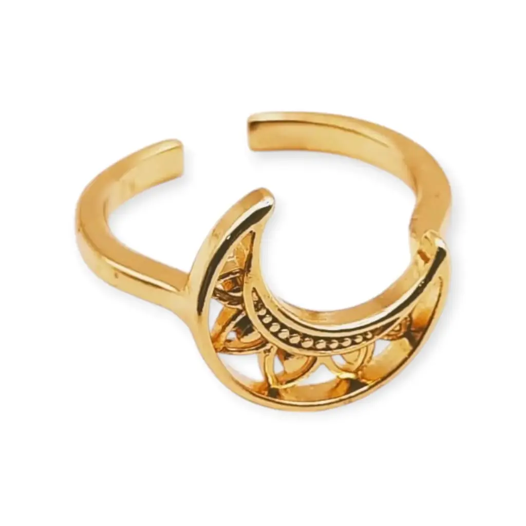 [VANIOL065087] VANIOL065087 ANILLO OL