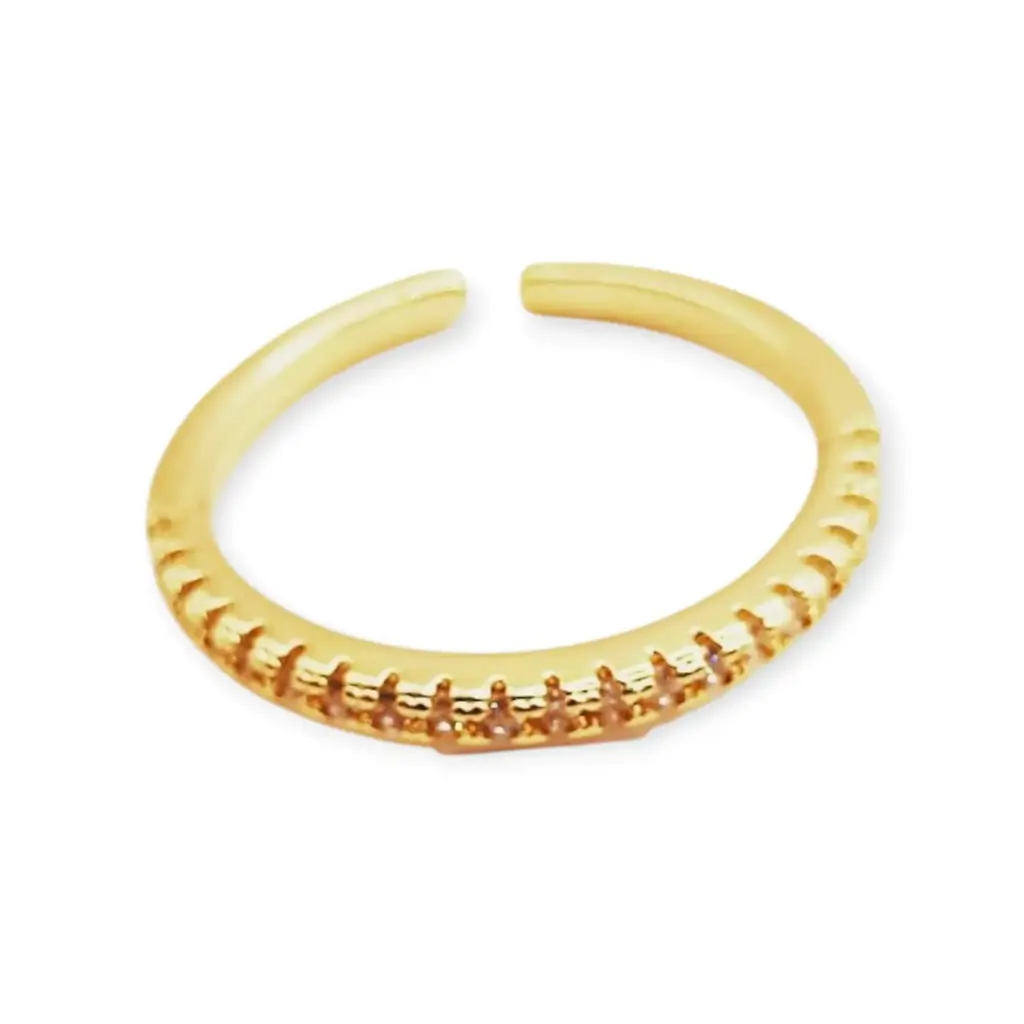 [VANIOL065100] VANIOL065100 ANILLO OL