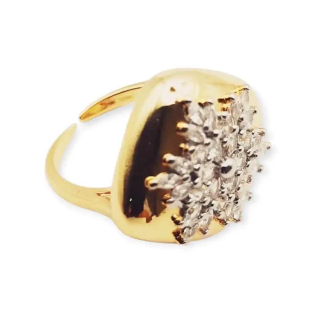 [VANIOL065138] VANIOL065138 ANILLO OL