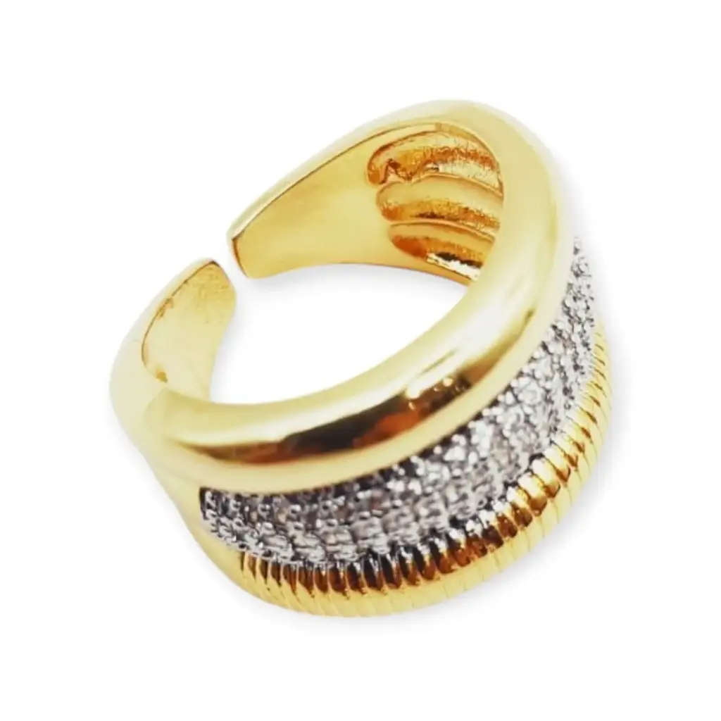 VANIOL065147 ANILLO OL