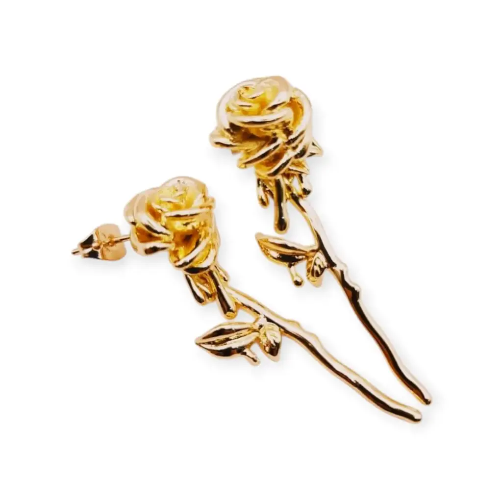 VACOOL055071 ARETE COLGANTE OL