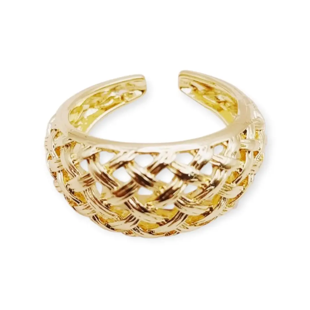 VANIOL055243 ANILLO OL