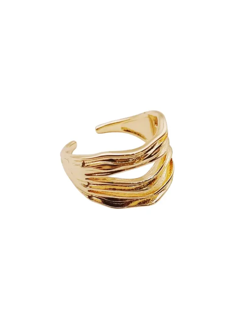 VANIOL055245 ANILLO OL
