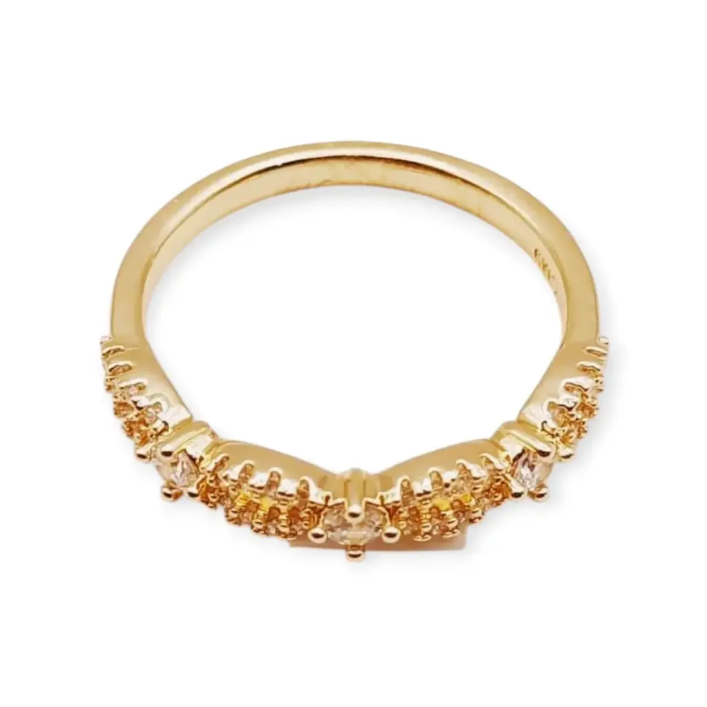 VANIOL055254 ANILLO OL