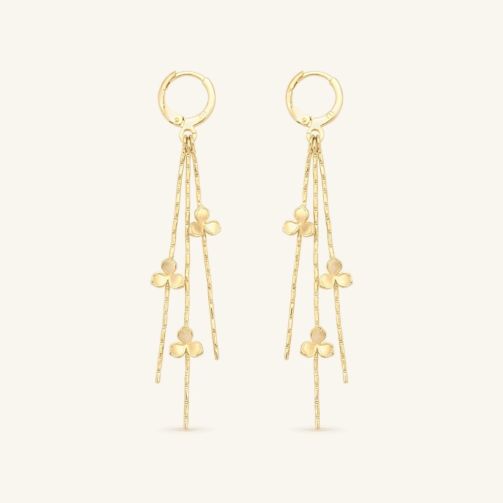 [VACOOL036161] VACOOL036161 ARETE OL